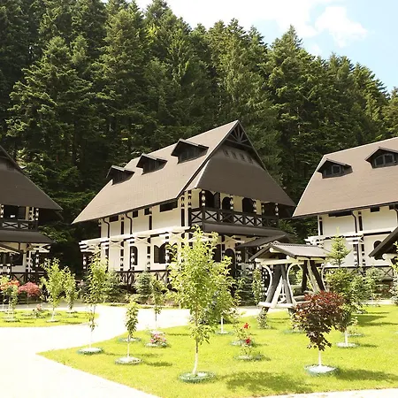 Complex Lions Bucovina Voroneț